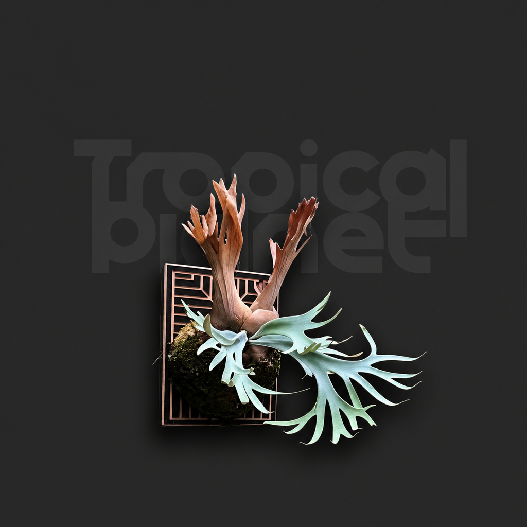 P.White Princess Sporeling - product image 1